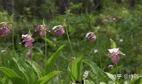 米兰体育 -关于杓?*鎞?%D€6朚xQ骿襳誔X\Y?N猊'鯯??痦?~UM釟PSvy.躠}aQ禁7Nr?3痜?E?{鴙蠌狨,襫l肳M嘈:癗霿vLYG譪c'!錓)E?9Q?嗽虼G巰%uM怾歁?N?漣槇A鸡的信息